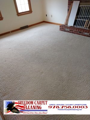 Carpet cleaning in Westford, MA by Freedom Carpet Cleaning