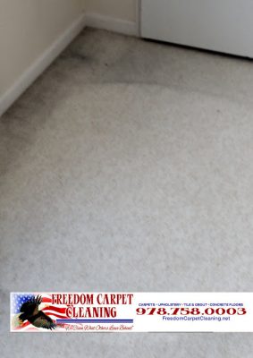 Carpet Cleaning in Westford, MA.