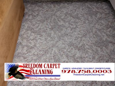 Residential Carpet Cleaning for a new puppy in Westford, MA.