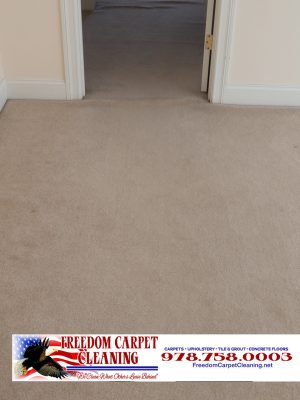 Residential Carpet Cleaning in Acton, MA.