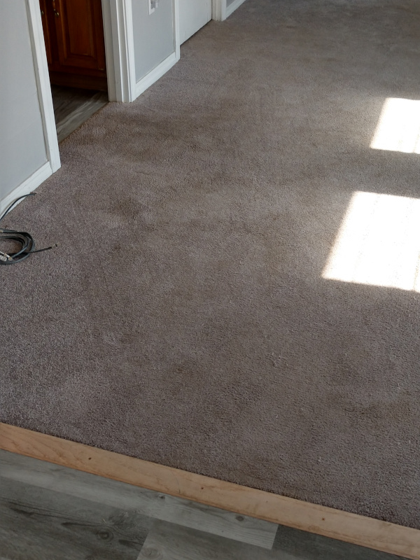 Residential Carpet Cleaning In Littleton Ma Freedom