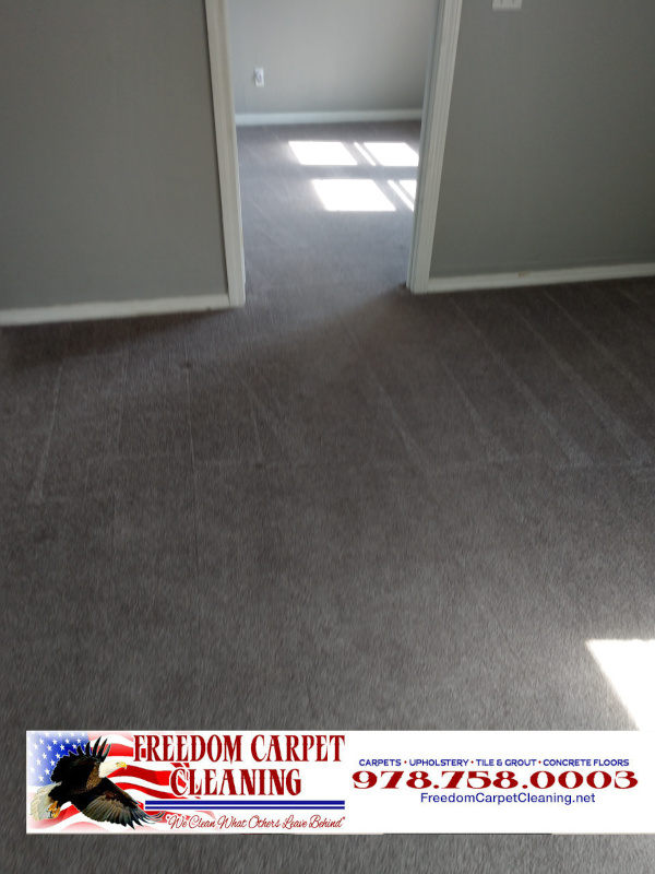 Residential Carpet Cleaning In Littleton Ma Freedom