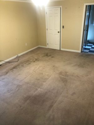 Carpet cleaning in Groton