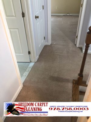 Residential carpet cleaning in Groton