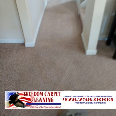 Carpet Cleaning and Pet Urine Treatment in Townsend, MA