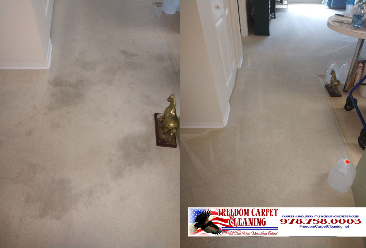 On this carpet cleaning job In Billerica MA, we presprayed the carpet with an enzyme detergent, added a booster, then extracted. We used multiple spotters to tackle individual areas.