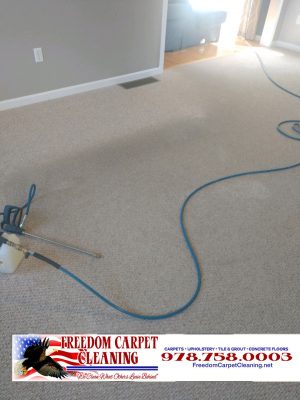 Carpet Cleaning job in Tyngsborough