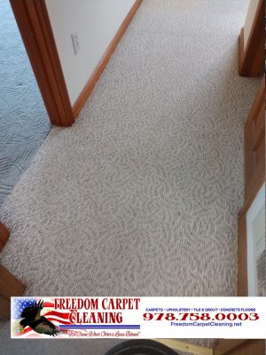 Cleaning a 15 year old carpet in Westford, MA.